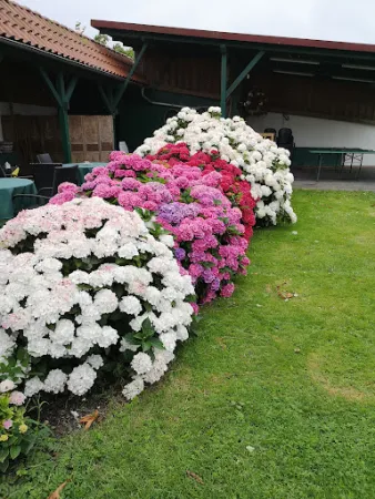 Bild von Hof Iggewarden