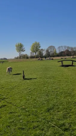 Bild von Hof Iggewarden