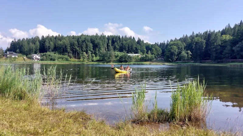 Bild von undefined