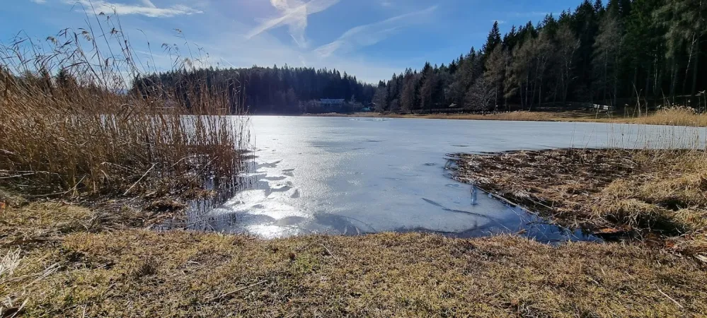 Bild von undefined