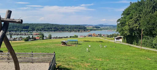 Bild von Buschenschank Stelzer