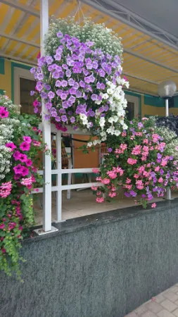 Bild von Leitner Cafe-Konditorei