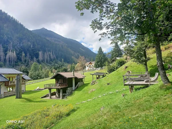 Bild von stefania alberi