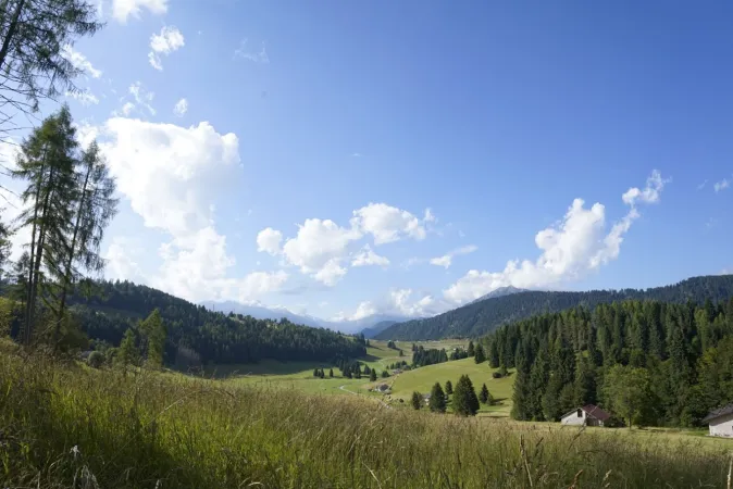 Bild von Evi Maria Apruzzese