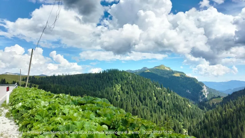 Bild von undefined
