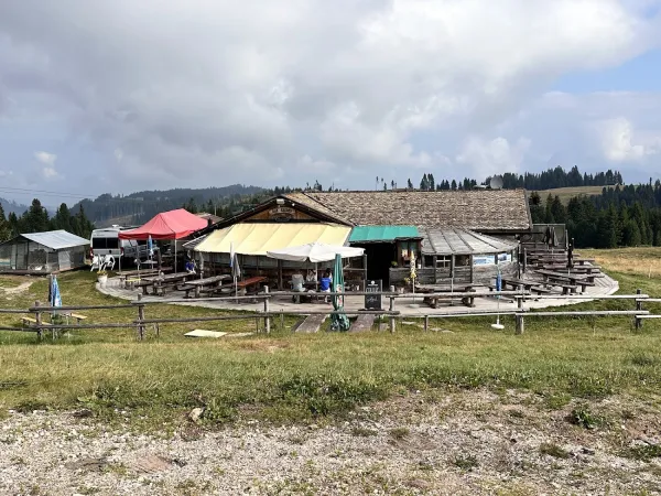 Bild von alessandro mazzali