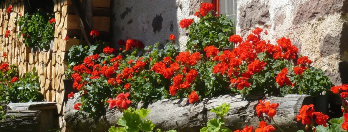 Bild von Le Caore - Ristorante e B&B