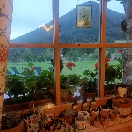 Bild von Paola Frizziero