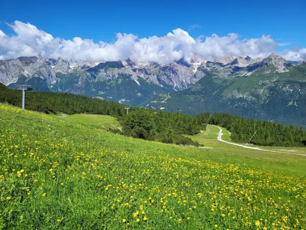 Bild von Valter Molino