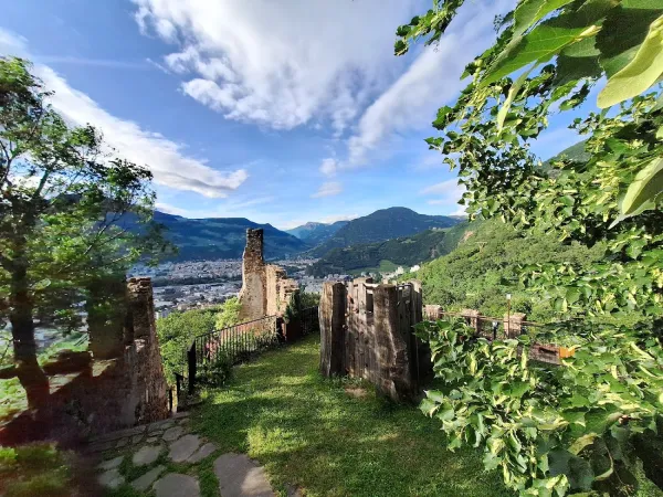 Bild von undefined