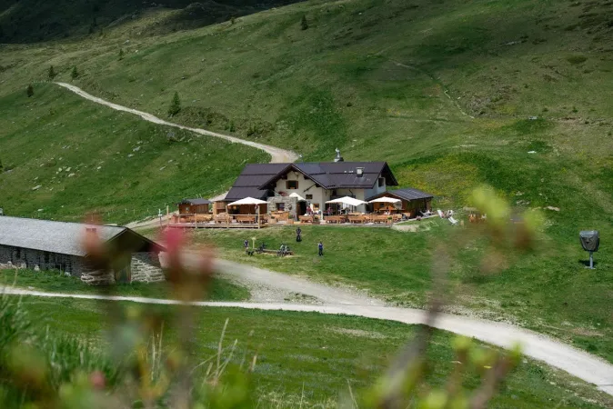 Bild von Malghetta Tognola / Malga Tognola
