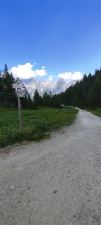 Bild von Malghetta Tognola / Malga Tognola
