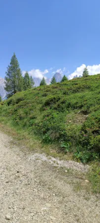 Bild von Malghetta Tognola / Malga Tognola