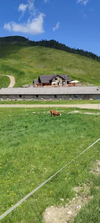 Bild von Malghetta Tognola / Malga Tognola