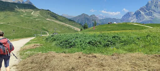Bild von Malghetta Tognola / Malga Tognola