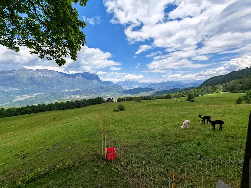 Bild von Malga Brigolina