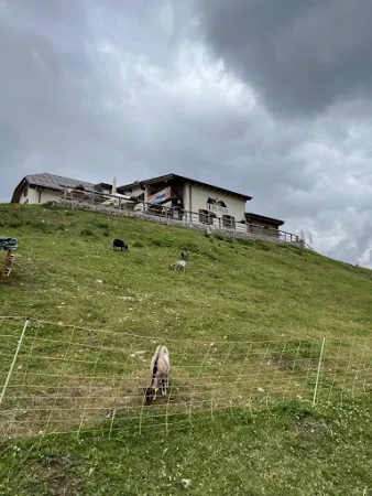 Bild von Malga Terlago