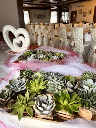 Bild von Ristorante Scoiattolo