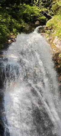 Bild von Ristorante Rifugio Crucolo
