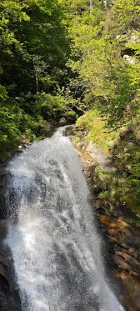 Bild von Ristorante Rifugio Crucolo