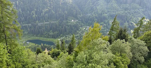 Bild von Ristorante Rifugio Crucolo