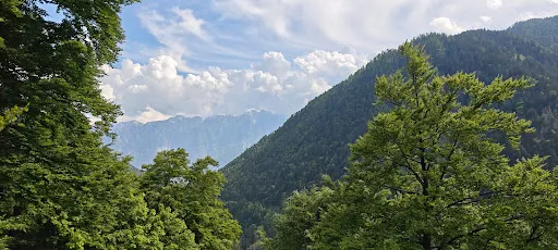 Bild von Ristorante Rifugio Crucolo