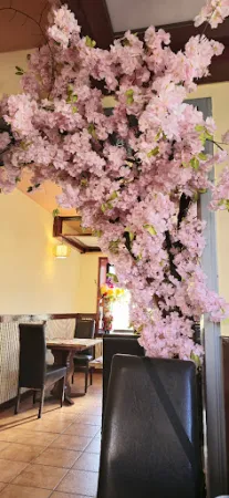Bild von ASIA HOME RESTAURANT