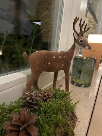 Bild von Restaurant am Bürgerpark Seng Keobounkhoune
