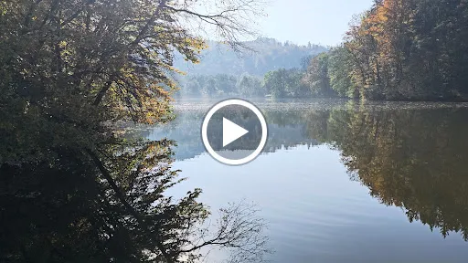 Bild von Waldcafé Thalersee