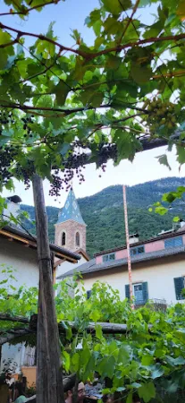 Bild von Luggin Steffelehof