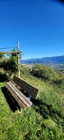 Bild von Hofschank zur Pergola