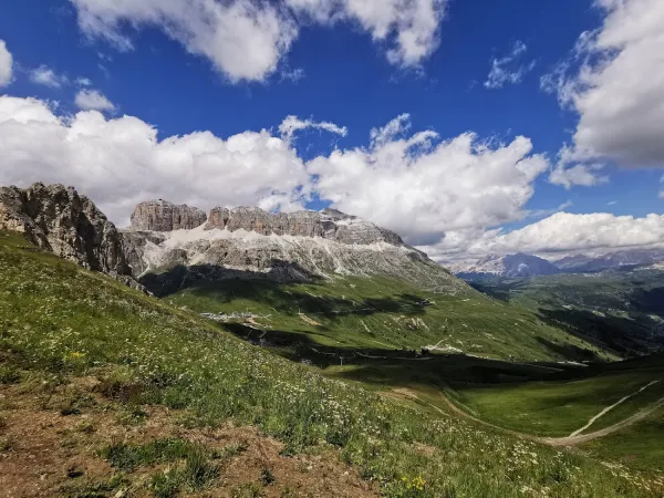 Bild von Guido Stefanelli