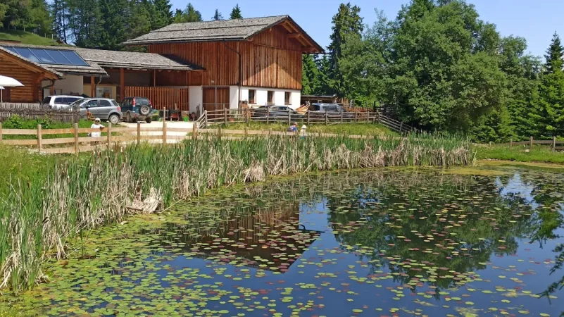 Bild von undefined