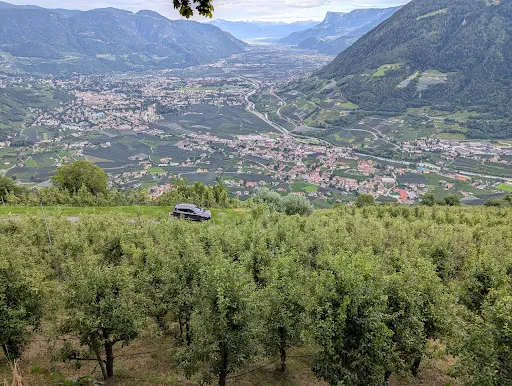 Bild von Gasthof Oberlechner