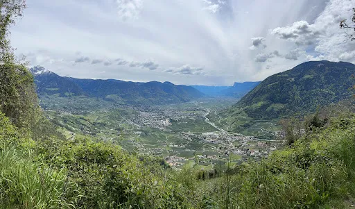Bild von Gasthof Oberlechner