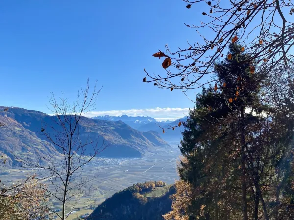 Bild von Marco Manfredini