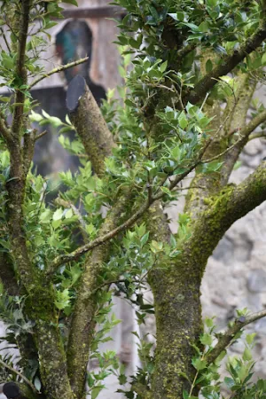 Bild von Miil