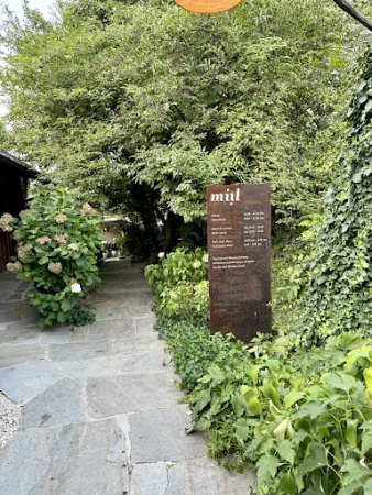 Bild von Miil