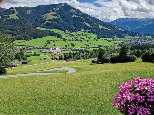 Bild von Lars Brettschneider