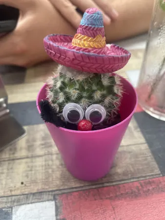 Bild von Takitos - Mexican Grill