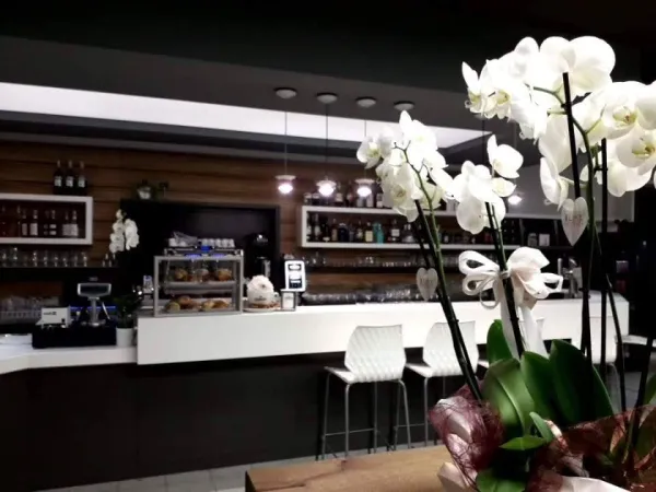 Bild von Movida bar aperitivi