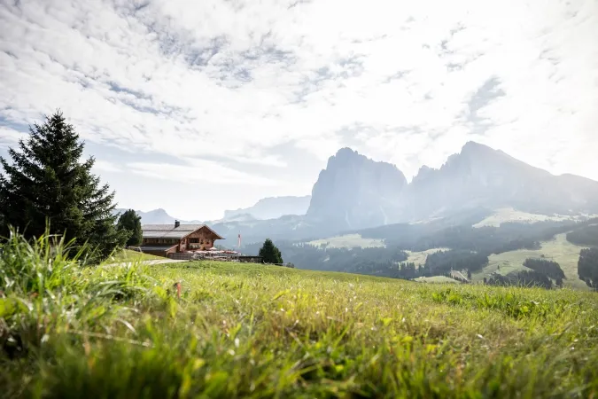 Bild von Rauchhütte