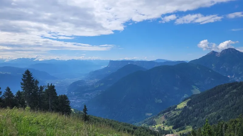 Bild von Petra S
