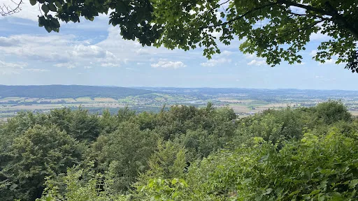Bild von Restaurant Paschenburg