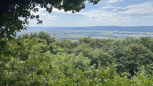 Bild von Restaurant Paschenburg