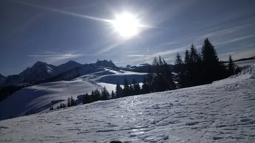Bild von KuhBar
