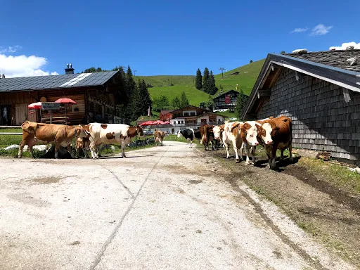 Bild von Restaurant Soderkaser