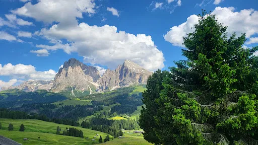Bild von Rauchhütte