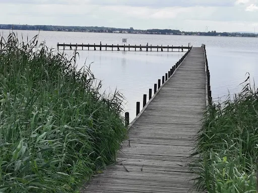 Bild von Klücks Pilz Kiosk in Mardorf am Steinhuder Meer