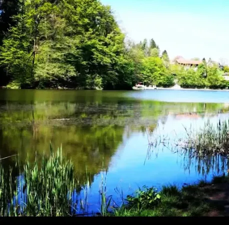 Bild von Thaler See Garten